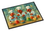 Crawfish Science Doormat Front Door Mat Indoor Outdoor Rugs for Entryway, Non Slip Washable Low Pile, 24H X 36W
