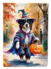 Bernese Mountain Dog Halloween Trick or Treat Garden Flag Mailbox Decorative Yard Banner Outside Patio Artwork for Flower Beds, Garden Size, Multicolo