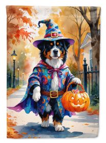 Bernese Mountain Dog Halloween Trick or Treat Garden Flag Mailbox Decorative Yard Banner Outside Patio Artwork for Flower Beds, Garden Size, Multicolo