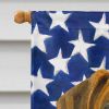 Brindle Great Dane American Flag House Flag Large Porch Sleeve Pole Decorative Outside Yard Banner Artwork Wall Hanging, Polyester, House Size, Multic