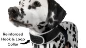 Waterproof Tracking Collars for Hunting Dogs Realtime GPS Pet Tracker Size:XXL