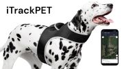 Get Detailed SMS with Small Waterproof GPRS GSM Pet Collar GPS Tracker Size:M