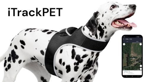 Get Detailed SMS with Small Waterproof GPRS GSM Pet Collar GPS Tracker Size:M