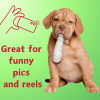My Name is Jay, Cute Stuffed Parody Joint Dog Toy, Funny Squeaky Weed Toy, Cool Plush Novelty 420 Gift for Pets & Their Owners, Sized for Puppies & Sm