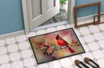 NEW Cardinal Doormat Front Door Mat Indoor Outdoor Rugs for Entryway, Non Slip Washable Low Pile, 18H X 27W