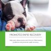 Yegbong Dietary Supplements For Dogs, To Pet th Pet Dogs Special Dietary Supplements