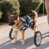 Dog Wheelchair for Back Legs, Lightweight 2 Wheels Pet Wheelchair, Height, Width & Length Adjustable, Dog Cart with Shock-Absorbing Wheels, for Injure