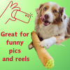 My Name is B, Cute Stuffed Parody Blunt Dog Toy, Funny Squeaky Weed Toy, Cool Plush Novelty 420 Gift for Pets & Their Owners, Sized for Puppies & Smal