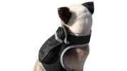 GSM GPS Realtime Pet Electronic Tracking System Waterproof Tracker NEW Size:L