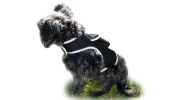 Dogs & Cats Realtime GSM GPS GPRS Mini Waterproof Pet Tracking Device Size:L
