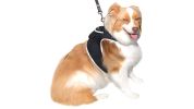 Dogs Cats Realtime Pocket Waterproof GPS Animal Tracking Tool Locator Size:M