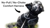 Get Detailed SMS with Small Waterproof GPRS GSM Pet Collar GPS Tracker Size:M