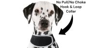 Realtime Mini GSM GPS Puppy Tracker Portable Pet Finder w/ Geo-fencing Size:M