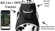 Realtime GPS Dog Collar High Rated Reviews Pet Location Finder w/ App Size:M