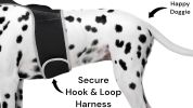 Dogs & Cats Realtime GSM GPS GPRS Mini Waterproof Pet Tracking Device Size:L