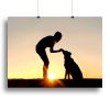 A silhouette of a girl sitting outside in the grass with her pet German Shepherd Mix Dog feeding him treats during training in front of a sunsetting s
