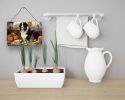 NEW Bernese Mountain Dog Fall Kitchen Pumpkins Wall or Door Hanging Prints Aluminum Metal Sign Kitchen Wall Bar Bathroom Plaque Home Decor, 8HX12W